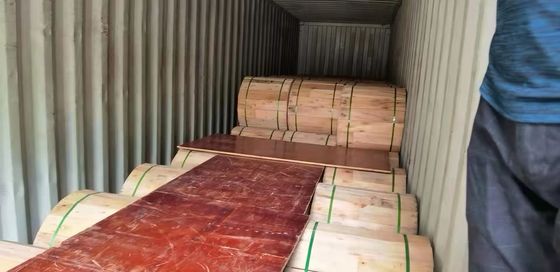 الهوائية الخارجية GYTC8Y G652D وضع واحد الشكل 8 ذاتية الدعم 4 6 8 10 12 24 48 96 144 كابل الألياف الضوئية الأساسية