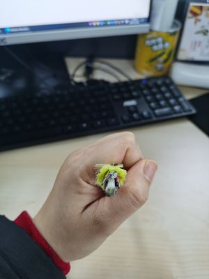 سترة غير معدنية أحادية السترة كابل الألياف البصرية ADSS 6/12/24/48/96 Core 100/200m Span G652D